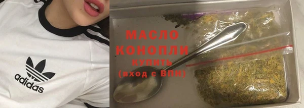 дмт Каменка