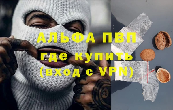 стафф Ростов